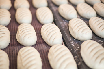 Baked Breads on the production line at the bakery