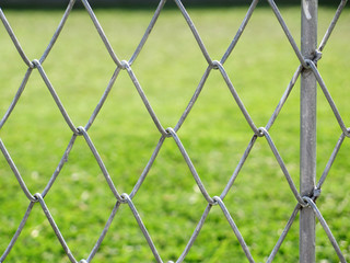 Fototapeta premium wire fence