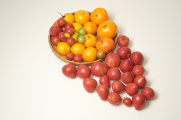 home grown tomato harves in colors