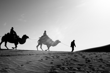 Riding camel on silk road monotone image