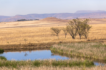 Waterhole Dry Season rural farming landscape