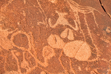 Bushman Rock Engravings - Namibia