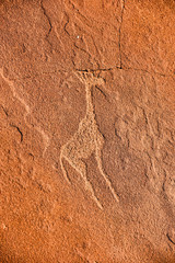 Bushman Rock Engravings - Namibia