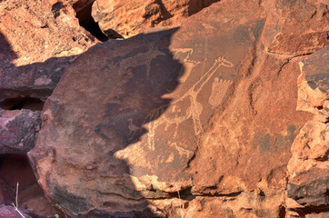 Bushman Rock Engravings - Namibia