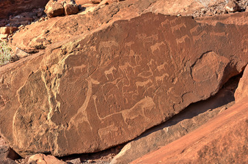 Bushman Rock Engravings - Namibia