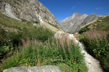La B&eacute;rarde - Les Ecrins.