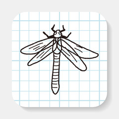 Dragonfly doodle