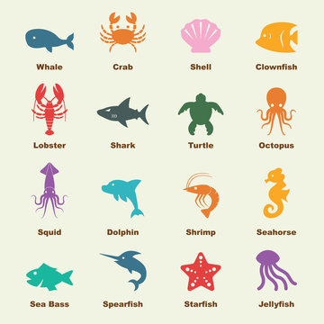 marine life elements