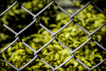 Freedom Concept Background / Freedom Concept / Freedom Concept Background Illustrated by Wire Fence