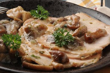 Pavo con champiñones Tacchino ai funghi Truthahn mit pilzen индейка с грибами Turkey and mushrooms Indyka z pieczarkami Dinde aux champignons טורקיה עם פטריות 