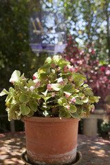 Typical andalusian country house porch