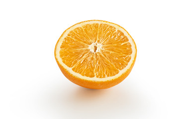orange nature on a white background.
