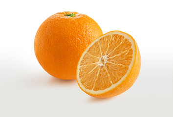orange nature on a white background.