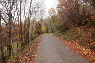 Obraz premium carretera de montaña