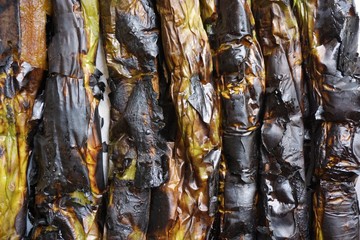 Fototapeta premium grilled eggplant