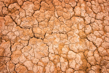 Dry cracked earth background, clay desert texture