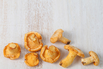 Chanterelles in a basket