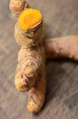 Raíz de cúrcuma.