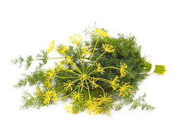 Bunch of fresh dill and flower. Isolated on white background