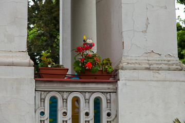 balcony - Balkon mit Blumentopf und Marienkäfer