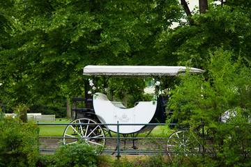 horse buggy - Kutsche, weiß, Hochzeitskutsche