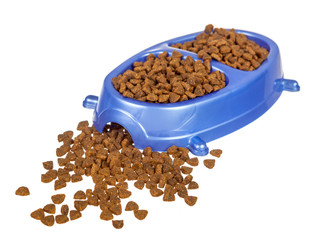 Cat food double  bowl