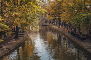 cityscape in the autumn setting.