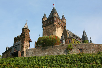 Burg Arras