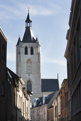 Fototapeta na wymiar The Church of Our Lady across the (River) Dijle in Mechelen