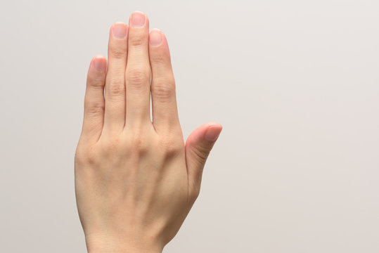 手の甲 画像 参照 10 091 Stock 写真 ベクターおよびビデオ Adobe Stock 手の甲 画像 参照 10 091 Stock 写真 ベクターおよびビデオ Adobe Stock