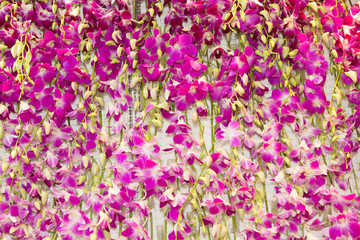 デンンファレのフラワーアレンジメント　