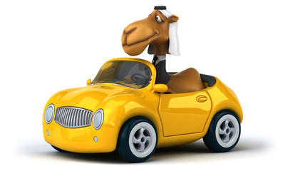 Obraz premium Fun camel