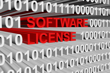 Software License is presented in the form of binary code