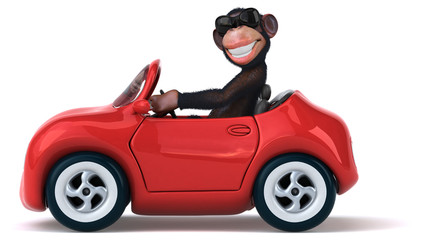 Fun monkey