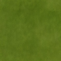 Grass fine texture. Also can be used as a moss texture. Tileable. 4k