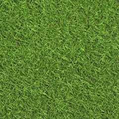 Lawn grass colour map. Beautiful grass texture. Appropriate for most kinds of landscape visualization. Looks great from different angles. Seamlessly tiled.
Diffuse texture