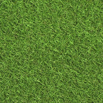 Lawn grass colour map. Beautiful grass texture. Appropriate for most kinds  of landscape visualization. Looks great from different angles. Seamlessly  tiled. Diffuse texture Stock Illustration | Adobe Stock