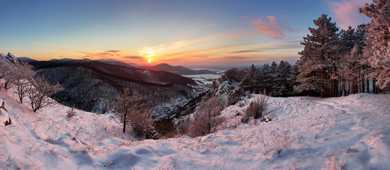 Forest mountain landscape at winter