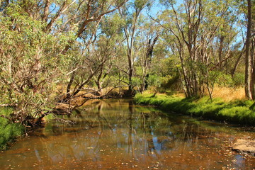 Fototapeta na wymiar Rough Australian outback