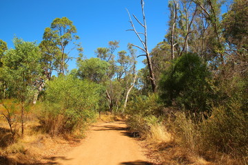 Rough Australian outback