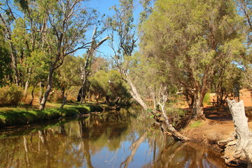 Rough Australian outback