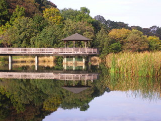 水上東屋のある風景