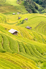 Obraz premium beautiful view of house in rice terrace at la pan tan , mu cang