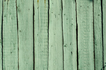 Old wood planks painted green (texture)