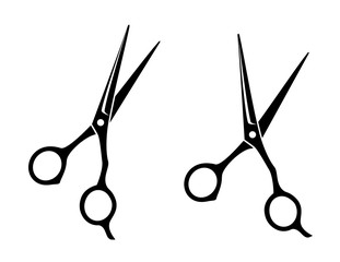 isolated professional scissors