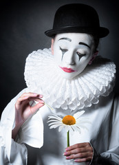 Sad mime Pierrot guessing on a daisy