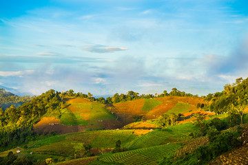 Mountain and field landscape view from Thailand