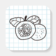 Passion Fruit doodle