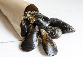 Mussels in the shell
