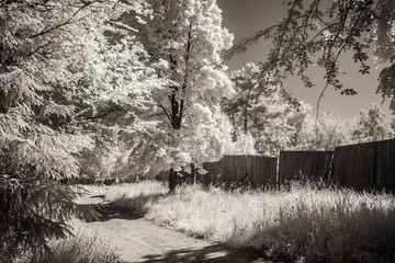 Landscape. Infrared photography.